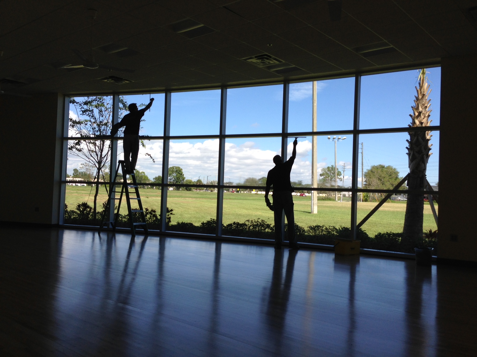 Sydney Window Cleaners
