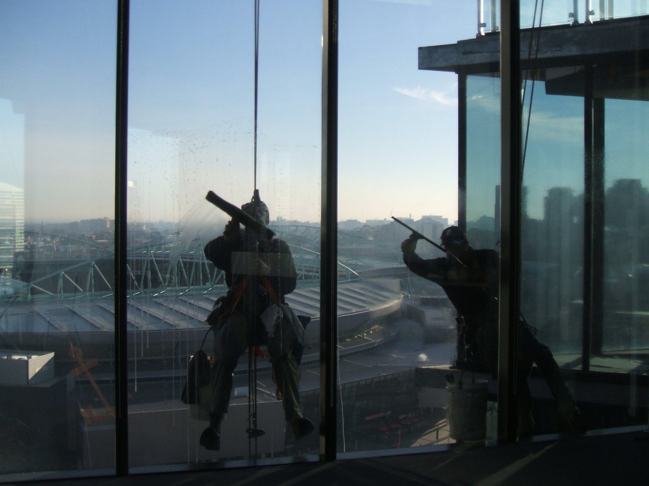 Window Cleaning Business