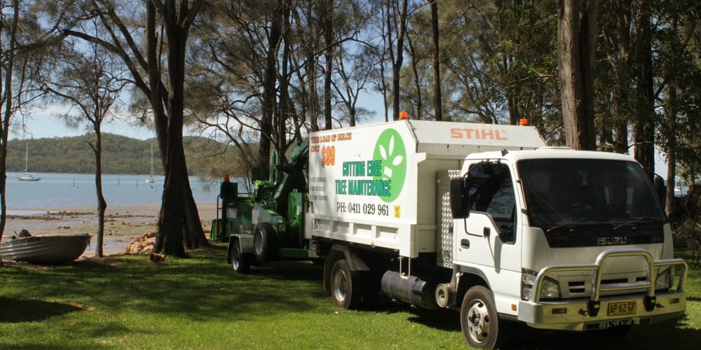 Cutting Edge Tree Maintenance Team In Newcastle