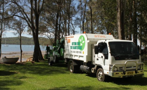 Cutting Edge Tree Maintenance Team In Newcastle