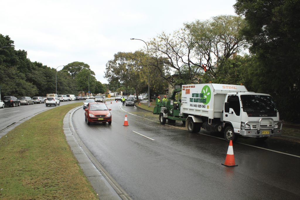 Cutting Edge Tree Maintenance Arborists